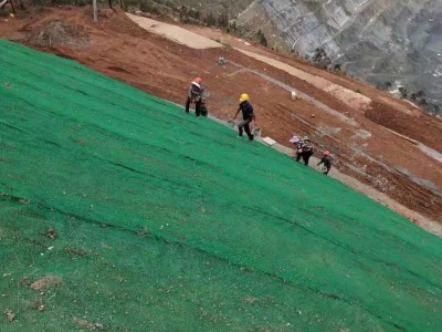 三维植被网护坡三维植被网护坡价格