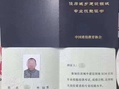 深圳宝安区bim管理平台,宝安区结构bim工程师