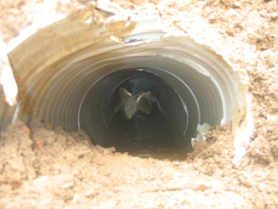 土木在线论坛下载土木在线论坛