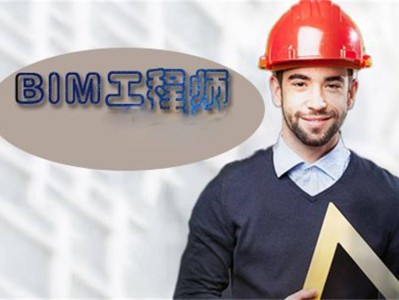 bim应用工程师是什么bim应用工程师是什么意思