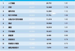 软件工程师薪酬等级软件工程师工资结构