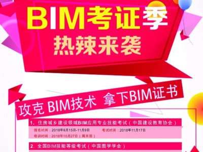 bim工程师挂靠多少钱年薪的简单介绍
