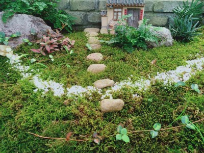 园艺景观,园艺景观设计图