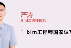 甘肃省工程类职称评审条件,甘肃工程师认可的bim