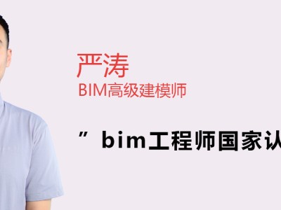 甘肃省工程类职称评审条件,甘肃工程师认可的bim
