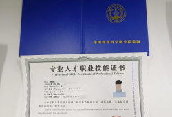 总监理工程师注册专业有哪些,总监理工程师注册