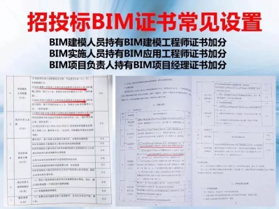 bim应用初级中级高级证书,中级bim应用工程师招聘