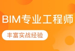 bim工程师的专业划分,bim工程师的前景怎么样