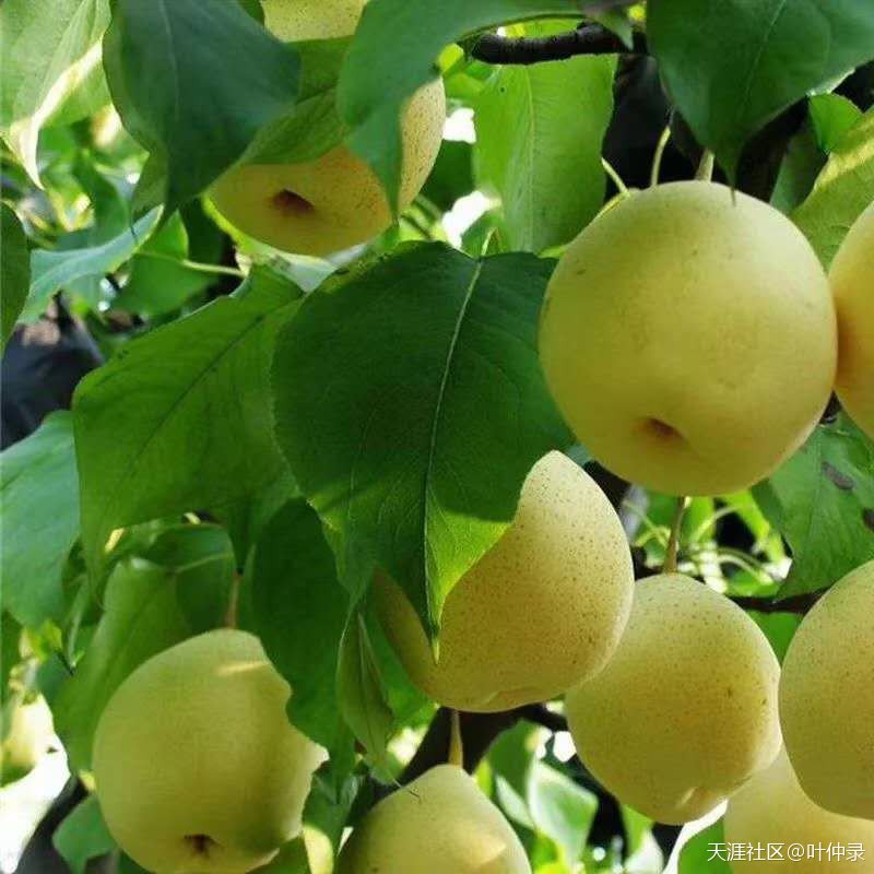 电影《监理工程师》编剧大纲--由本书作者编写  第13张