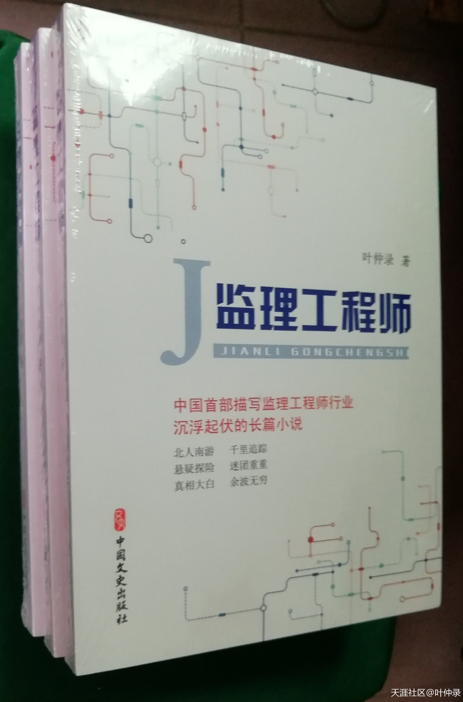长篇纪实小说《监理工程师》里的国企和民企里的职员收益差异  第2张