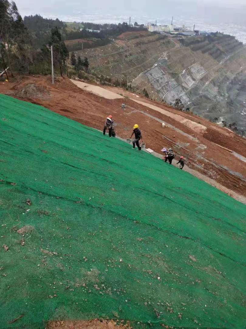 三维植被网护坡三维植被网护坡价格 第1张 三维植被网护坡三维植被网护坡价格 第1张