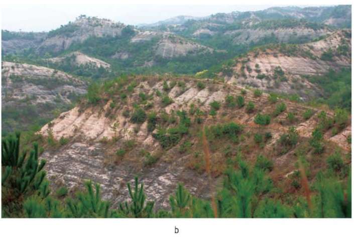 水土流失治理水土流失治理措施 第2张 水土流失治理水土流失治理措施 第2张