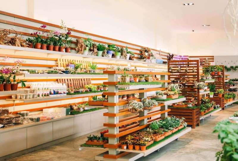 花架效果图怎么画花架效果图 第2张 花架效果图怎么画花架效果图 第2张