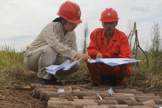 岩土工程师注册信息查询,岩土工程师证书查询 第1张 岩土工程师注册信息查询,岩土工程师证书查询 第1张