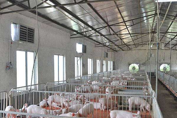 楼房养猪场设计,养猪场设计  第2张