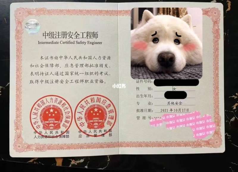 建筑安装工程师面试问题,建筑安全工程师面试题 第1张 建筑安装工程师面试问题,建筑安全工程师面试题 第1张