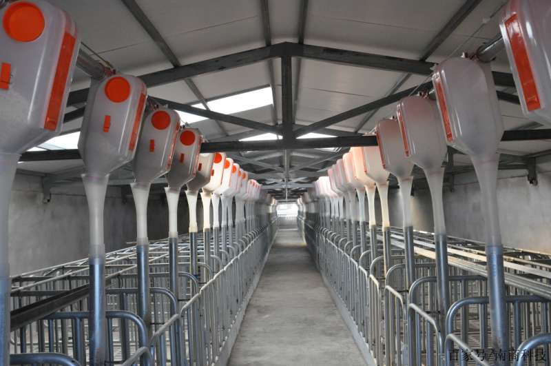 猪圈设计图农村私人猪圈设计图 第1张 猪圈设计图农村私人猪圈设计图 第1张