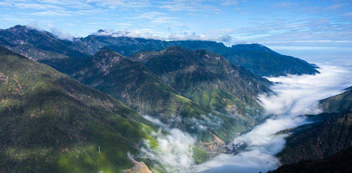 宁夏造价工程师证书领取时间的简单介绍 第1张 宁夏造价工程师证书领取时间的简单介绍 第1张