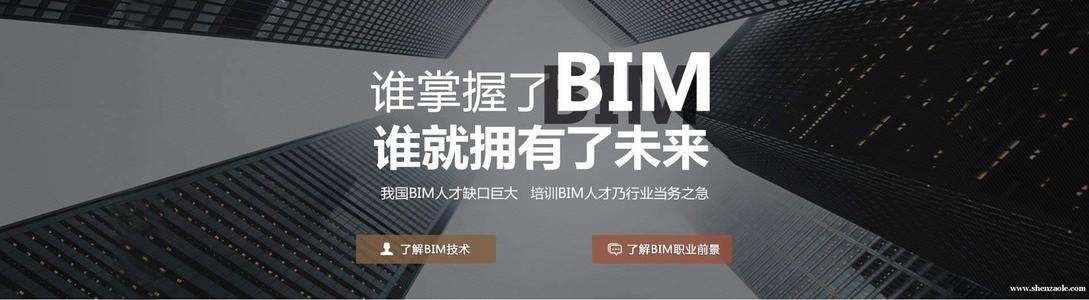 关于bim工程师的工作标准的信息 第2张 关于bim工程师的工作标准的信息 第2张