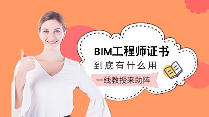 bim工程师有注册bim工程师可以注册吗  第1张